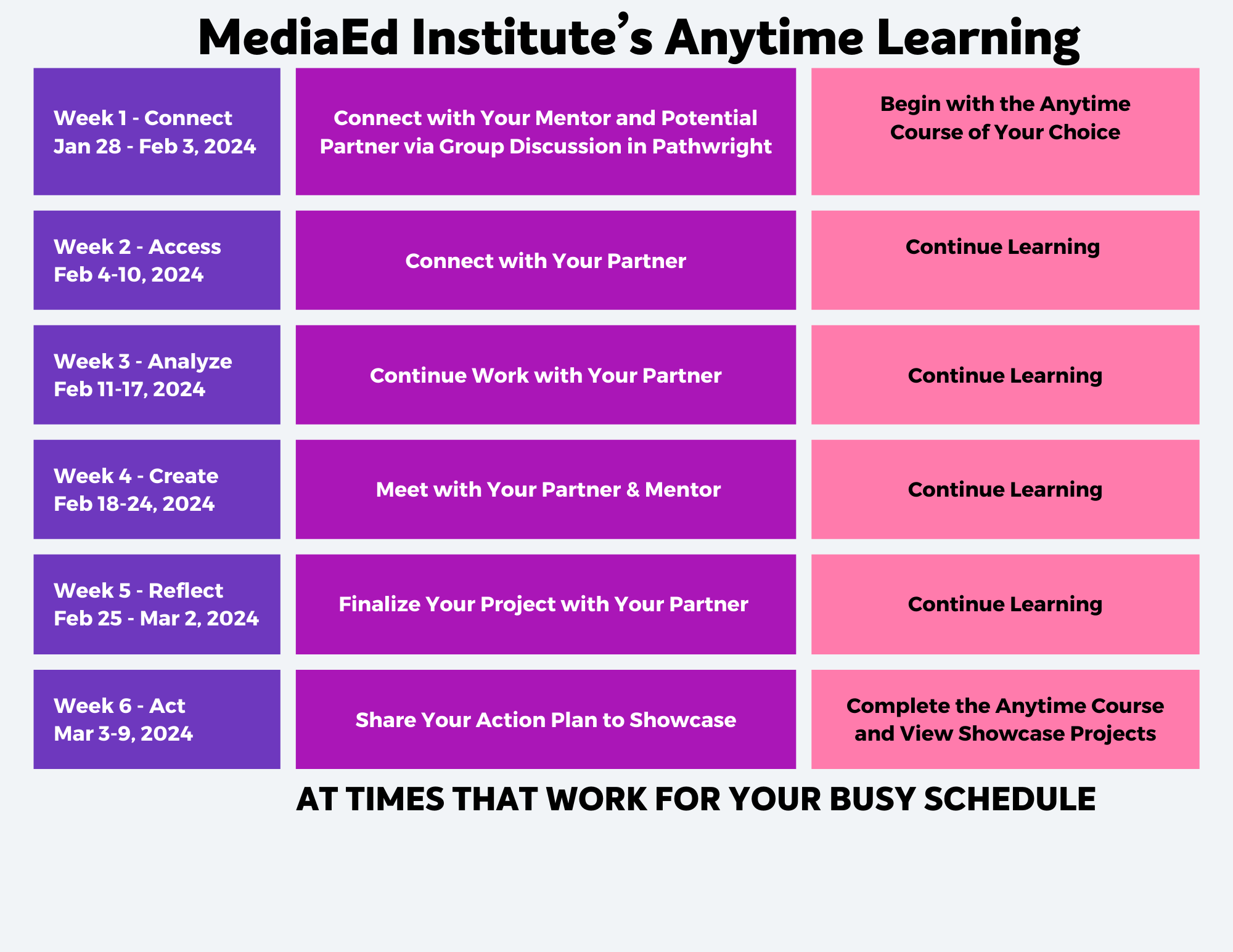 MediaEd Institute Schedule